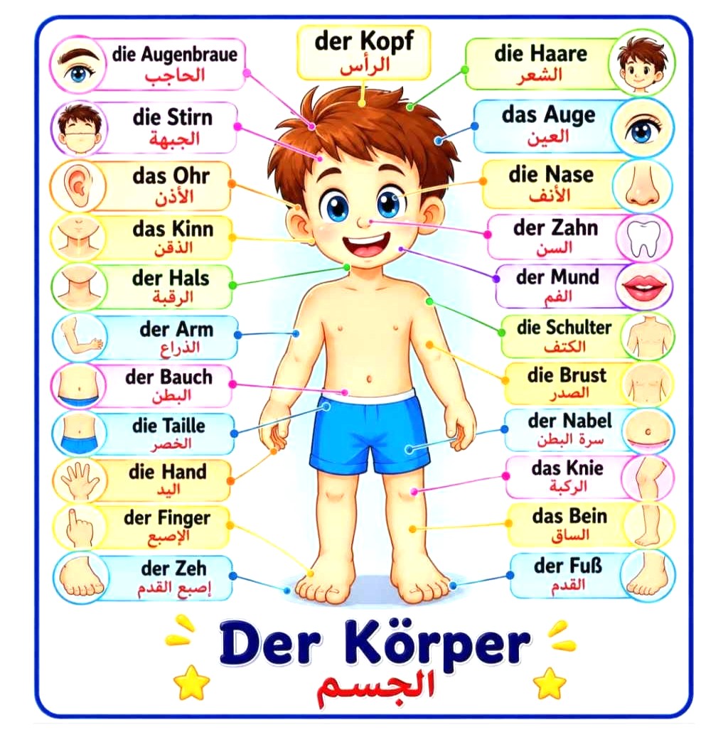 Deutsch fur Kinder | تعليم ألماني للأطفال - Image 8